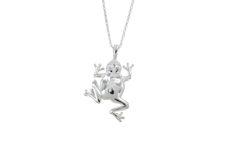 Silver Frog Necklace